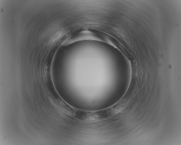 X0000071850263200606301344