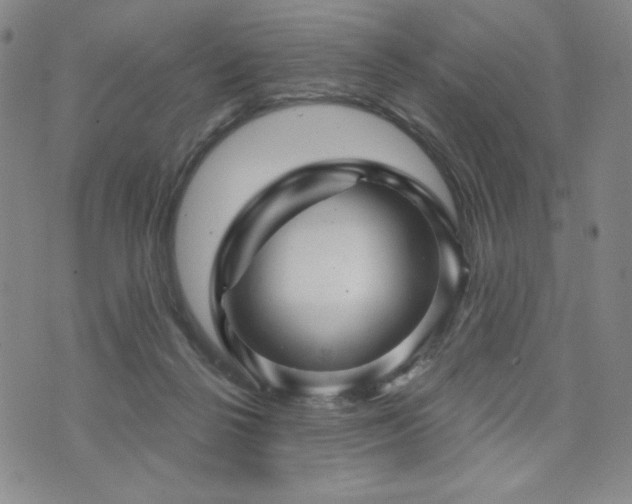 X0000071850264200606301344