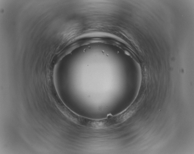 X0000071850265200606301344