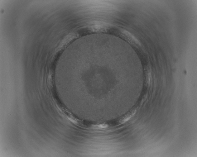 X0000071850266200606301344