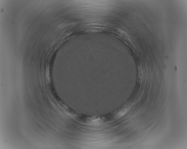 X0000071850267200606301344