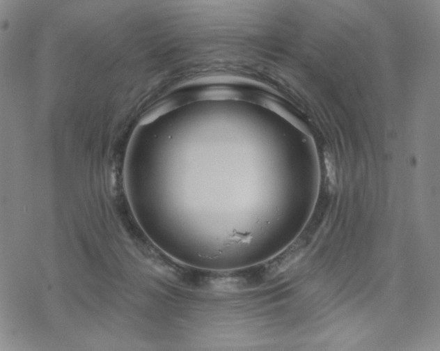 X0000071850268200606301344