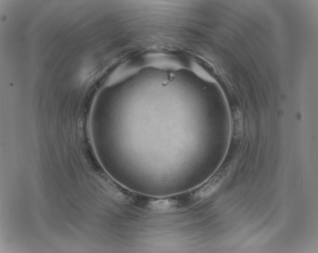 X0000071850269200606301344