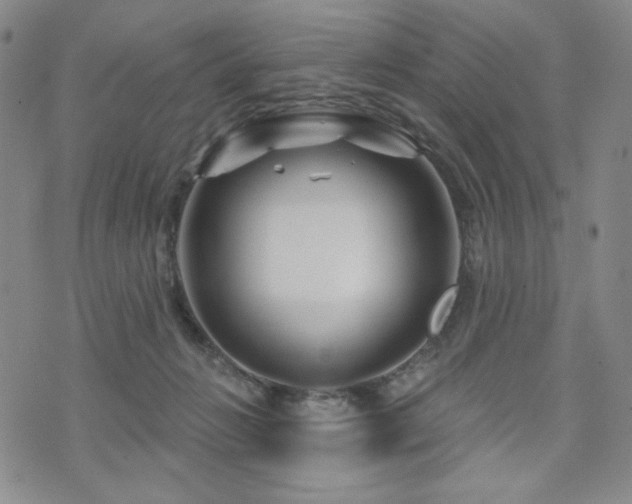 X0000071850270200606301344