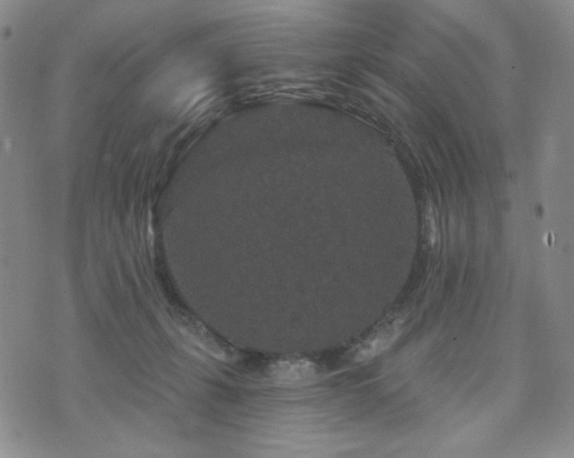 X0000071850271200606301345