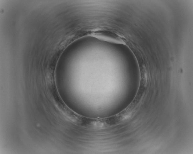 X0000071850272200606301345