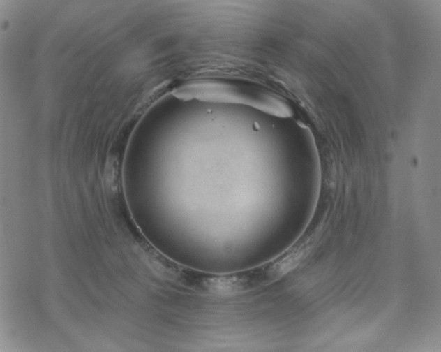 X0000071850273200606301345