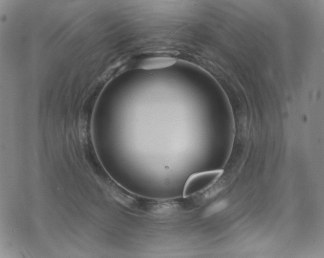 X0000071850274200606301345