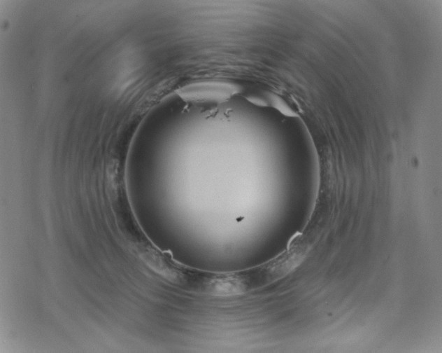 X0000071850275200606301345