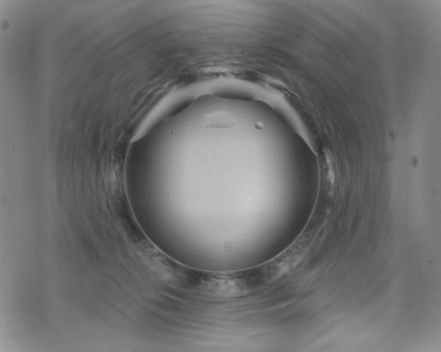 X0000071850276200606301345