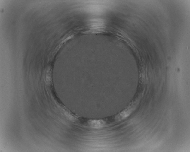 X0000071850277200606301345