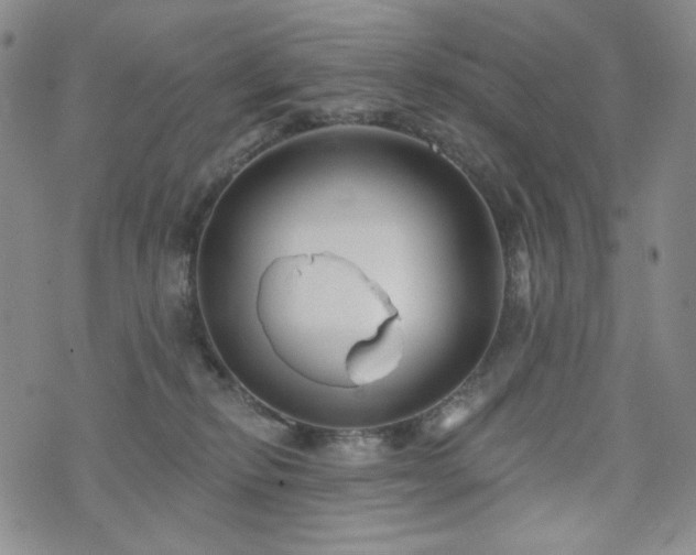 X0000071850278200606301345