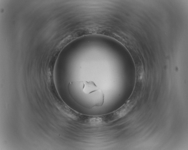 X0000071850279200606301345