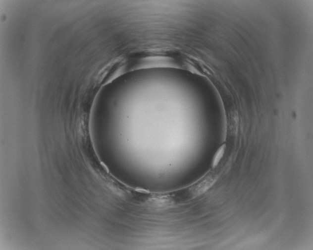 X0000071850280200606301345