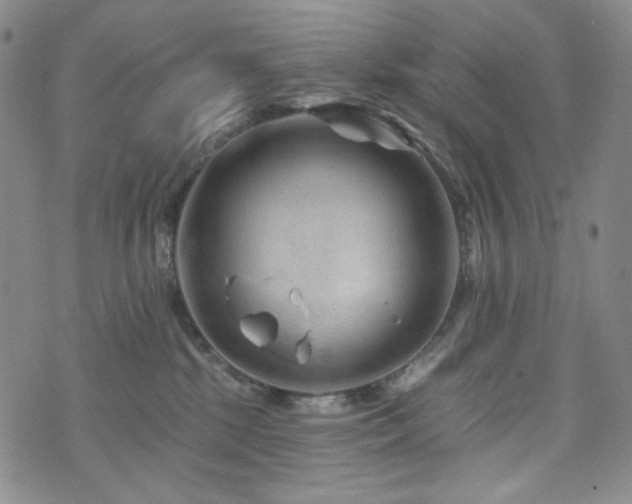 X0000071850281200606301345