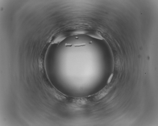 X0000071850282200606301345