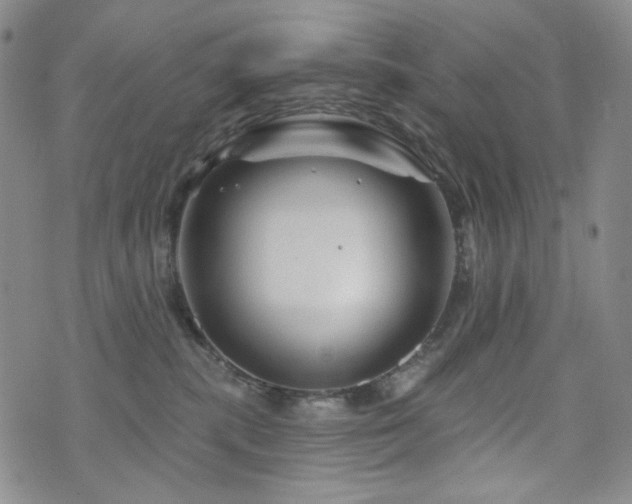 X0000071850283200606301345