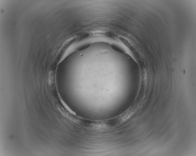 X0000071850284200606301345