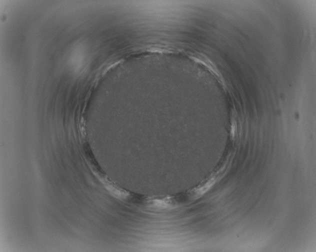 X0000071850285200606301345