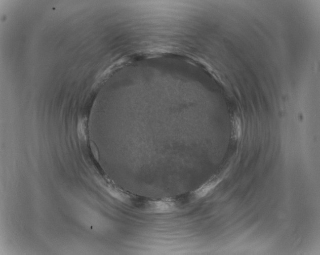 X0000071850286200606301345