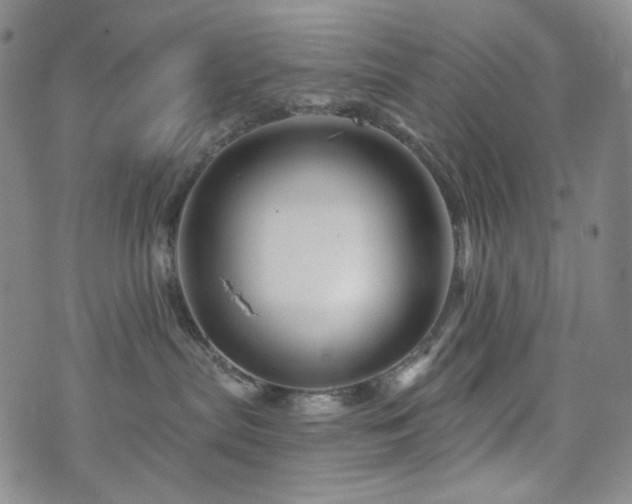 X0000071850287200606301345