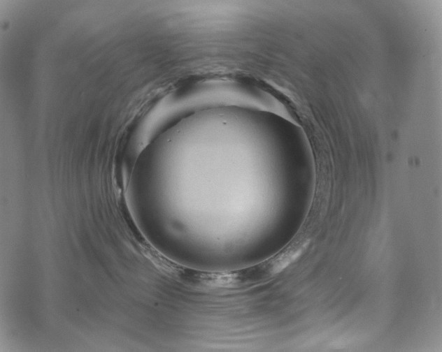 X0000071850288200606301345