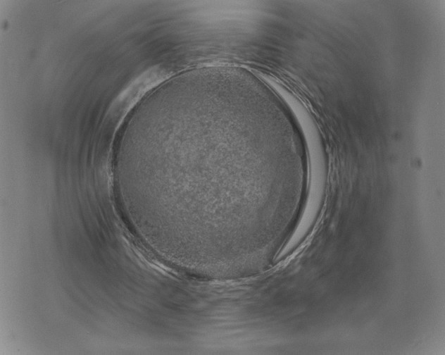 X0000071850290200606301344