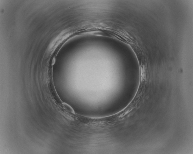 X0000071850291200606301344