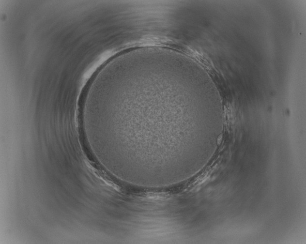 X0000071850292200606301344