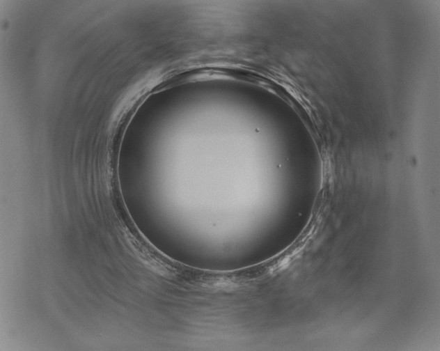 X0000071850293200606301344