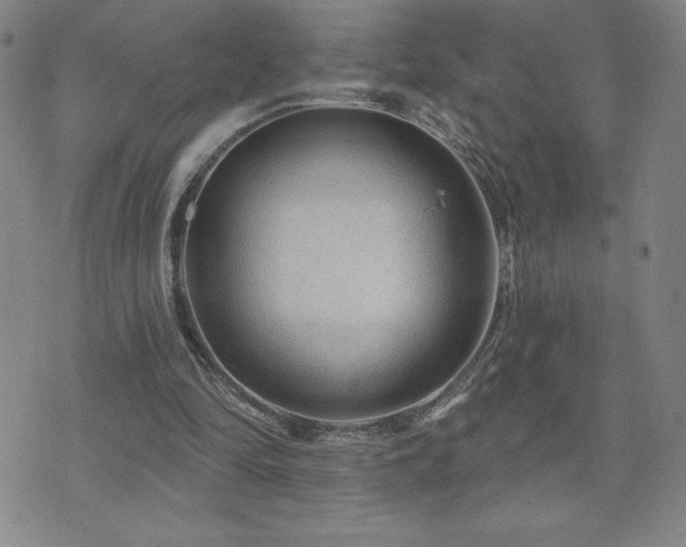 X0000071850294200606301344