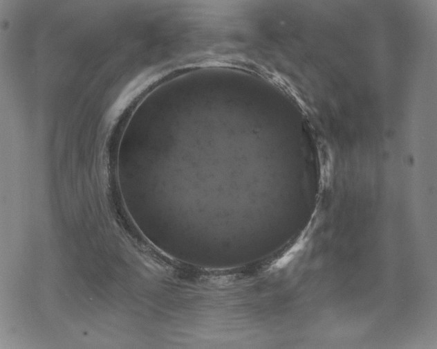 X0000071850295200606301344