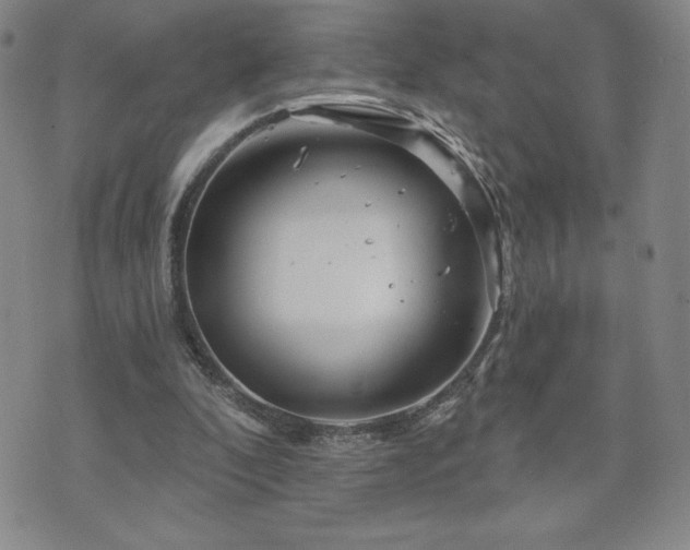 X0000071850296200606301344