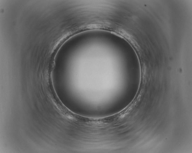 X0000071850297200606301344