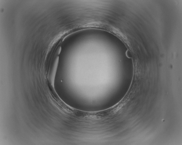 X0000071850298200606301344