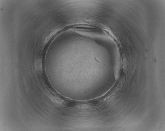 X0000071850299200606301344