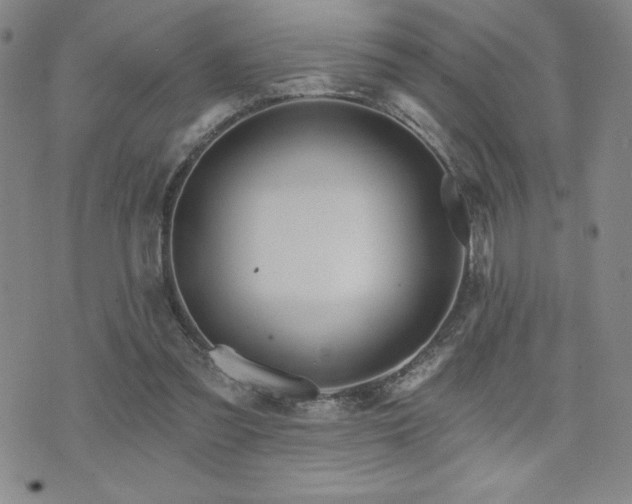 X0000071850301200606301344