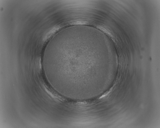 X0000071850302200606301344