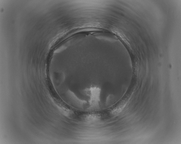 X0000071850303200606301344