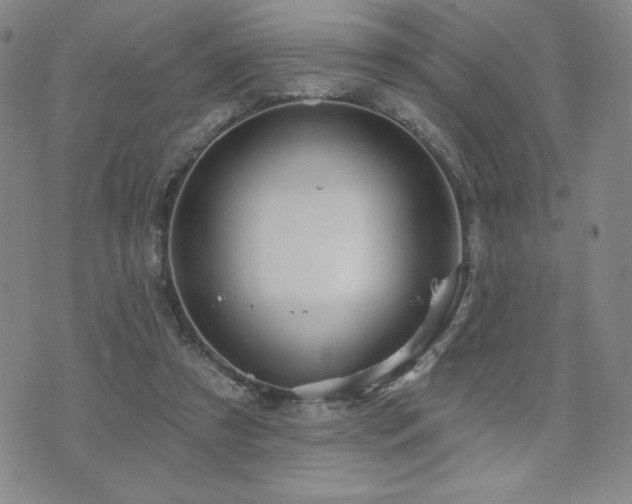 X0000071850305200606301344