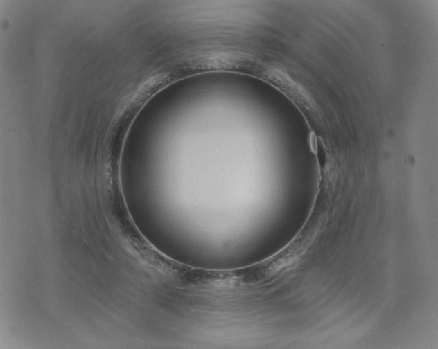 X0000071850306200606301344