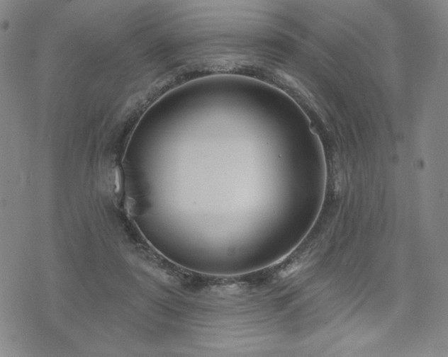 X0000071850307200606301344