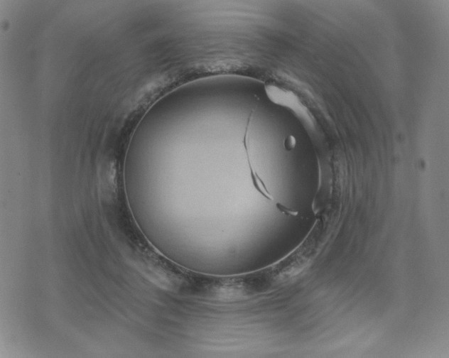 X0000071850308200606301344