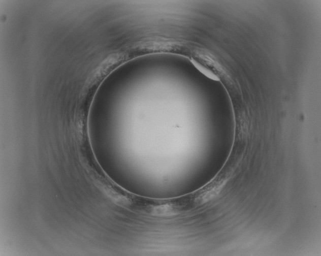 X0000071850309200606301344