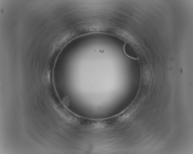 X0000071850310200606301344