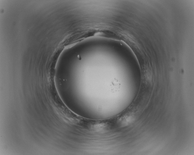 X0000071850312200606301344