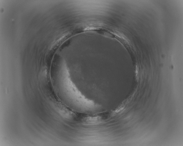 X0000071850314200606301344