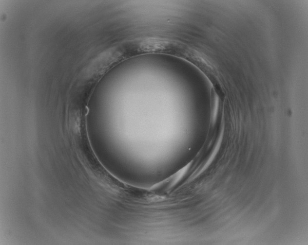 X0000071850315200606301344