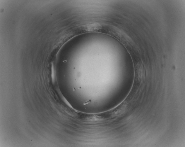 X0000071850316200606301344