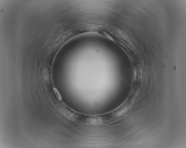 X0000071850317200606301344